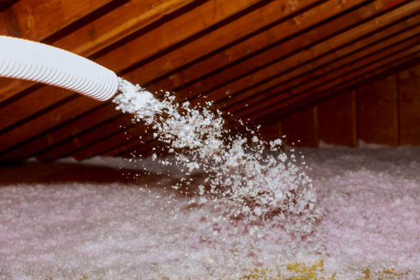 Best Insulation Maintenance and Repair in Bayshore Gardens, FL