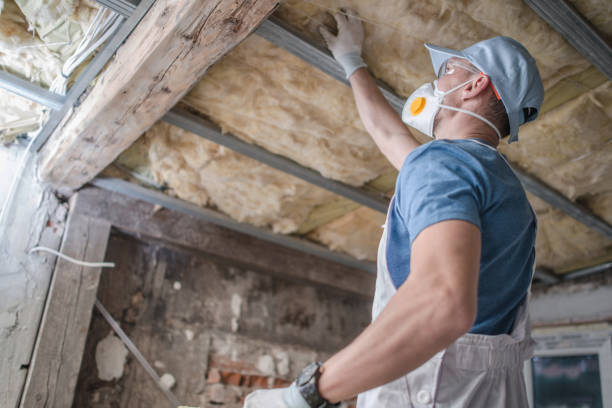 Best Commercial Insulation in Bayshore Gardens, FL
