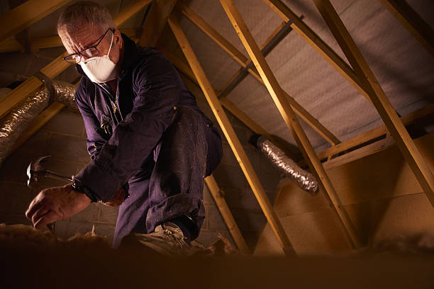 Best Residential Insulation in Bayshore Gardens, FL